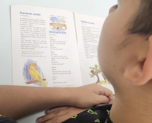 žáci pilně pracovali, jak je vidět na snímcích