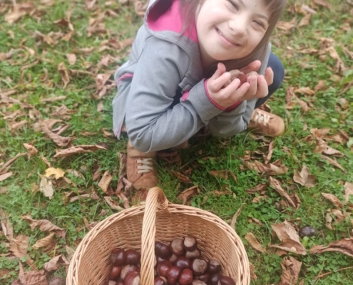 podzimní úklid zahrady a sběr kaštanů