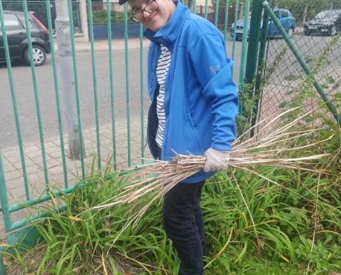 podzimní úklid zahrady a sběr kaštanů