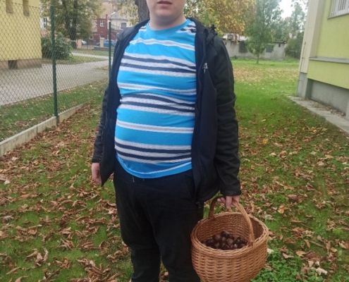 podzimní úklid zahrady a sběr kaštanů