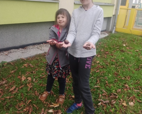podzimní úklid zahrady a sběr kaštanů