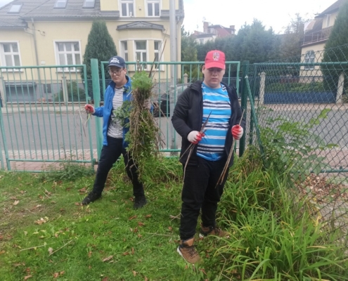 podzimní úklid zahrady a sběr kaštanů