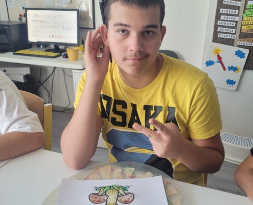 malování podzimních hub