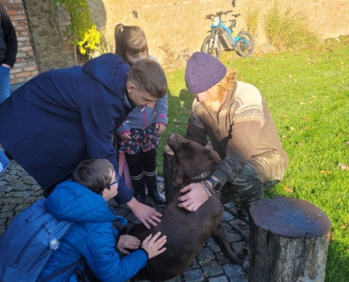 Dnešní den na farmě se krásně povedl