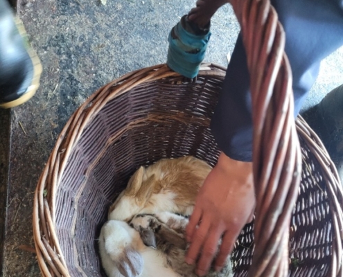 Dnešní den na farmě se krásně povedl