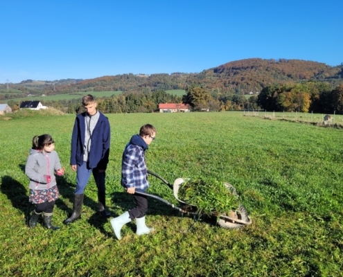 Dnešní den na farmě se krásně povedl