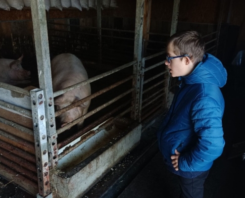 Dnešní den na farmě se krásně povedl