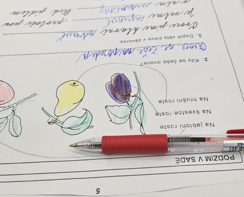 Kluci psali, četli, počítali, pracovali na interaktivní tabuli