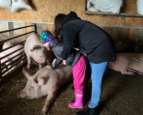 Farma v Kozlovicích dnes navštívila třída H