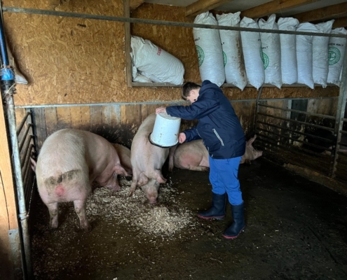 Farma v Kozlovicích dnes navštívila třída H