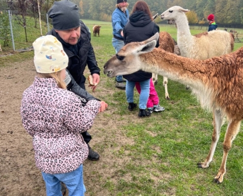 Farma v Kozlovicích dnes navštívila třída H