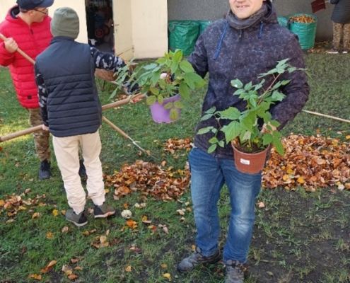 Kluci hrabou listí