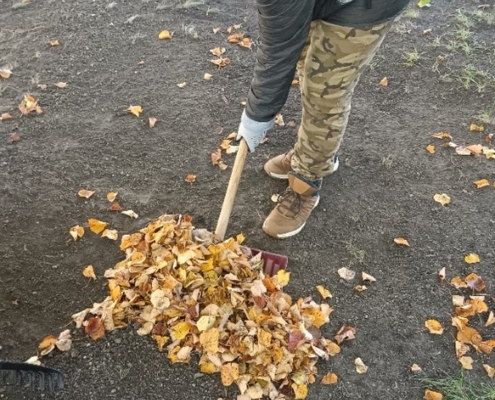 Kluci hrabou listí