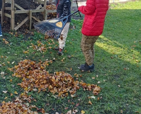 Kluci hrabou listí