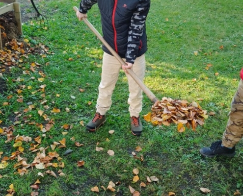 Kluci hrabou listí