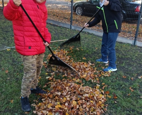Kluci hrabou listí