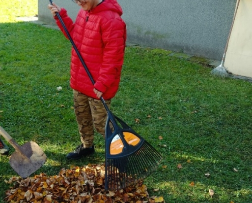 Kluci hrabou listí