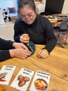 tématu plody podzimu, trénovali na puzzliádu a dělali domácí práce