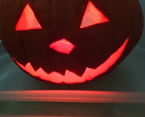 žáci třídy D dnes usilovně pracovali na tradiční halloweenské dýni