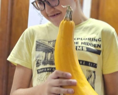 Fotky z výuky a aktivit v tomto a minulém týdnu