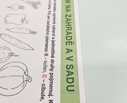 Fotky z výuky a aktivit v tomto a minulém týdnu