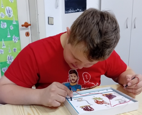 Všichni při výuce používali zábavné interaktivní pomůcky a hry