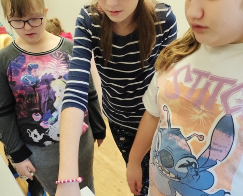 Naše šikovná děvčata v hodinách pracovních činností