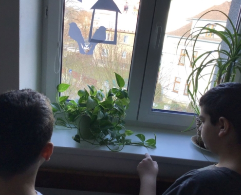 Dnes jsme zvládli matematiku, česky jazyk, zeměpis, přírodopis, fyziku