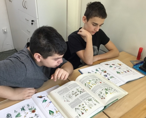 Český jazyk a matematiku i další předměty