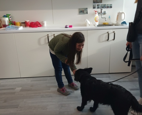Tento týden proběhla v naší třídě D opět canisterapie