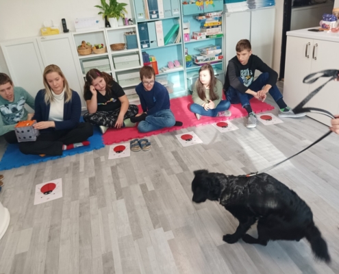 Tento týden proběhla v naší třídě D opět canisterapie