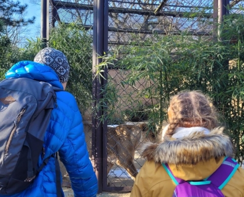 S dětmi jsme jeli tentokrát do zoologické zahrady
