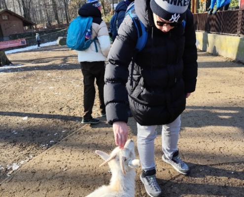 S dětmi jsme jeli tentokrát do zoologické zahrady