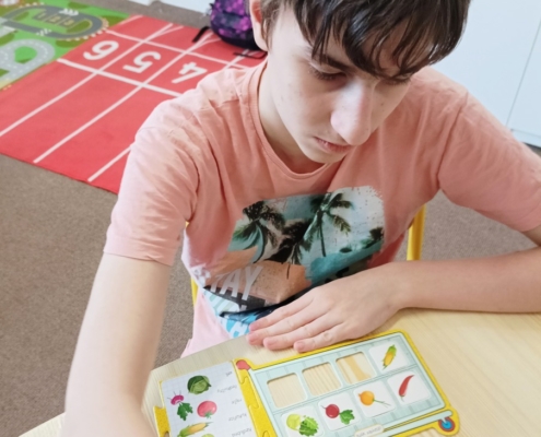 Pracovních činnostech jsme vyzkoušeli různé činnosti
