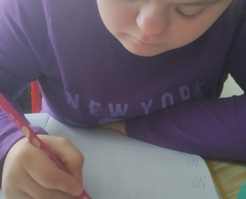 probrali počty, psaní i čtení