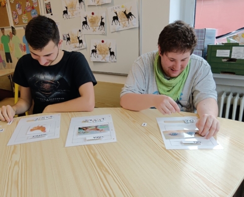 Práce s počítačem, výukové programy