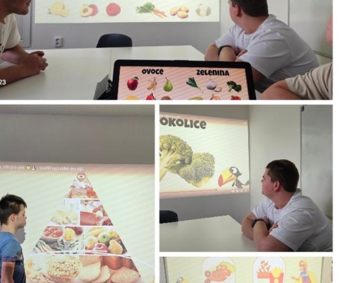 Práce ve výuce tento týden