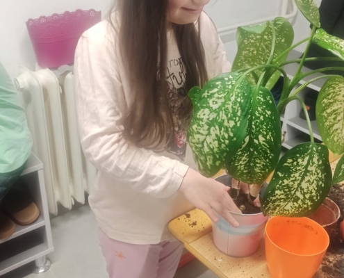 Některé školní pokojovky už dlouho čekaly na přesazování