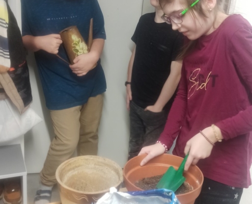 Některé školní pokojovky už dlouho čekaly na přesazování