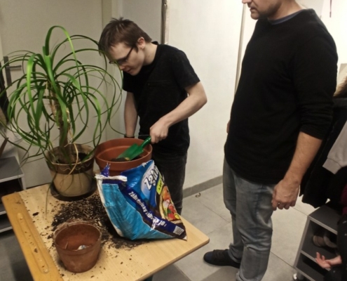 Některé školní pokojovky už dlouho čekaly na přesazování