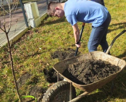 Dárek je krásný strom višně, který hned kluci zasadili