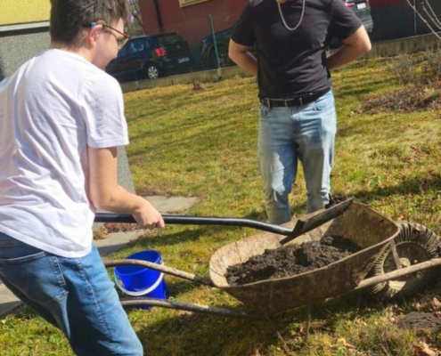 Dárek je krásný strom višně, který hned kluci zasadili