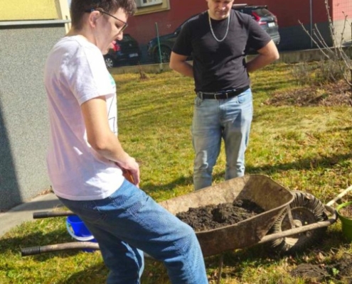 Dárek je krásný strom višně, který hned kluci zasadili