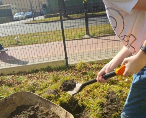 Dárek je krásný strom višně, který hned kluci zasadili