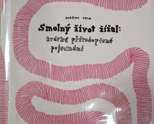 Dnes jsme navštívili interaktivní besedu