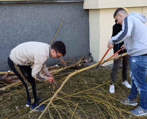 Pracovní činnosti, Člověk a společnost, Člověk a příroda