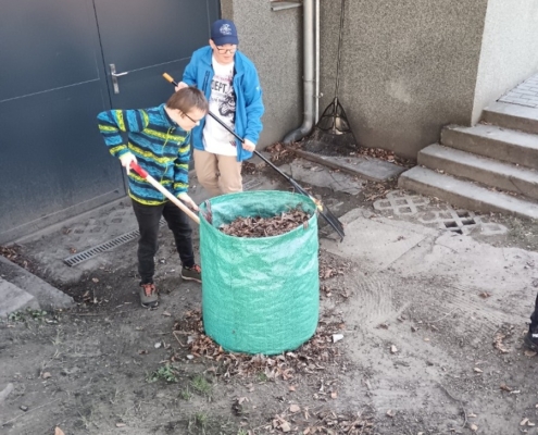 Pracovní činnosti, Člověk a společnost, Člověk a příroda