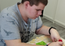 hezký papírový model ptačí budky