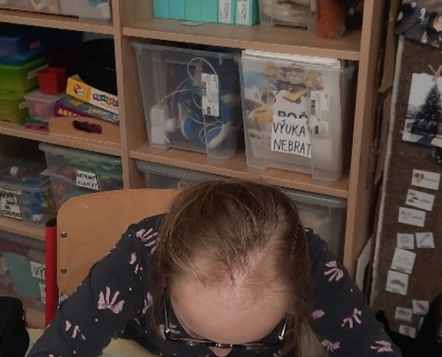 přehled našich týdenních aktivit ve třídě H