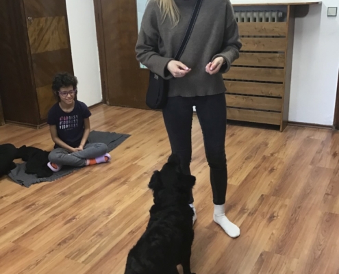 Heidi předvedla nám, jak se naučila malovat